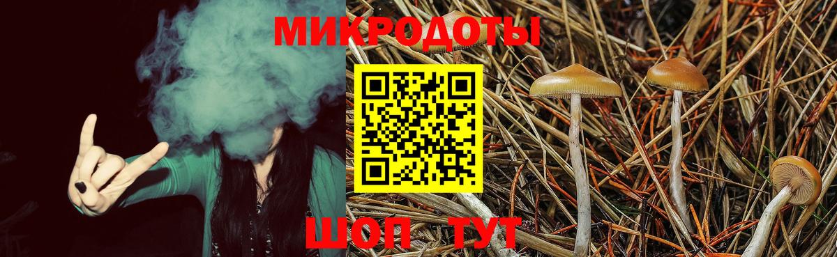 Галлюциногенные грибы MAGIC MUSHROOMS Еманжелинск